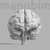 Custom Low Poly Brain, 124x98x105 mm, PLA white