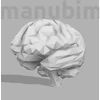 Custom Low Poly Brain, 124x98x105 mm, PLA white