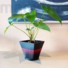 Morpho decoration flower pot, medium, bioplastic, 3D printed