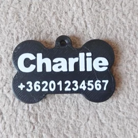 Custom Dog Tag, Big, with Name, phone number - 3D printed