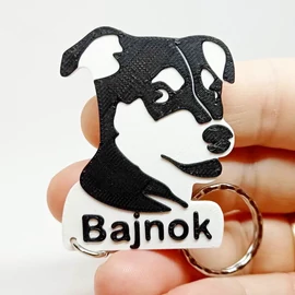 Custom 3D Printed Gift - Dog Keychain with Name