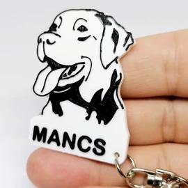 Custom 3D Printed Gift - Dog Keychain with Name