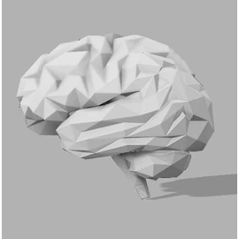 Custom Low Poly Brain, 124x98x105 mm, PLA white