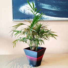 Morpho decoration flower pot, small, bioplastic, 3D printed