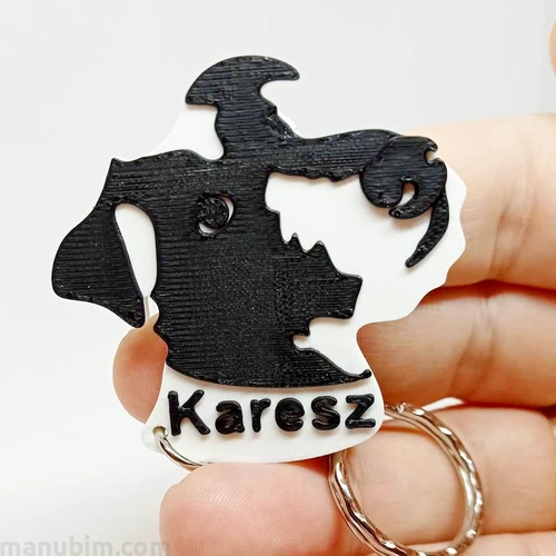 Dog Keychain with Name