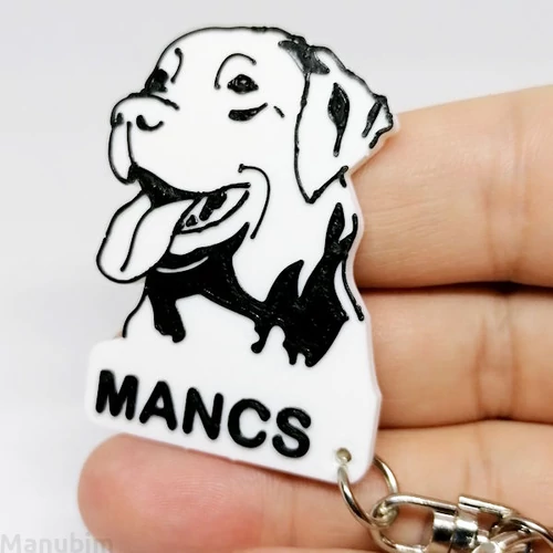 Custom 3D Printed Gift - Dog Keychain with Name