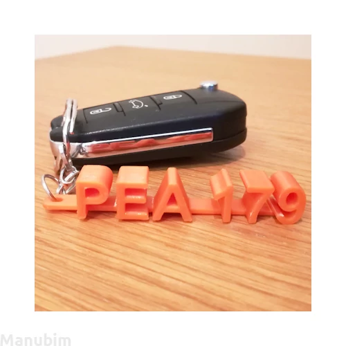 License Plate Number Keychain - custom