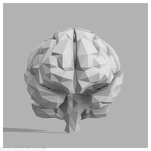 Custom Low Poly Brain, 124x98x105 mm, PLA white