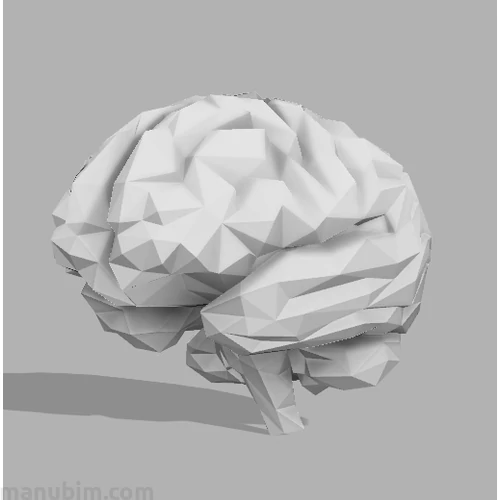 Custom Low Poly Brain, 124x98x105 mm, PLA white
