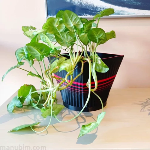 3D printed decoration flower pot, large size - Morpho design